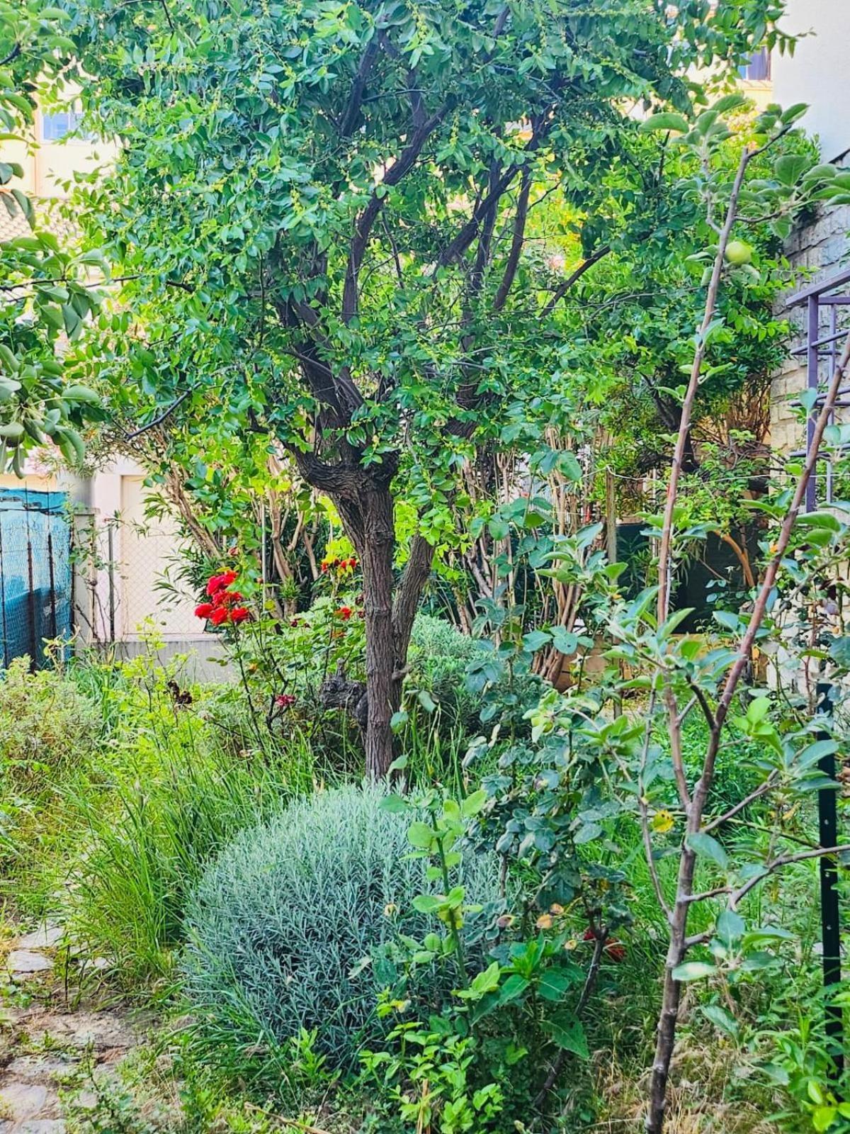 Appartement Paisible Pour 4 Personnes Montpellier Exteriör bild